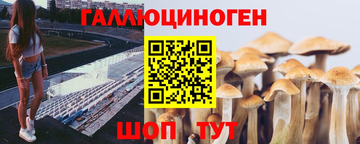 Отрадное  купить наркоту  Вход с VPN  Псилоцибиновые грибы Psilocybine cubensis  Галлюциногенные грибы мицелий 
