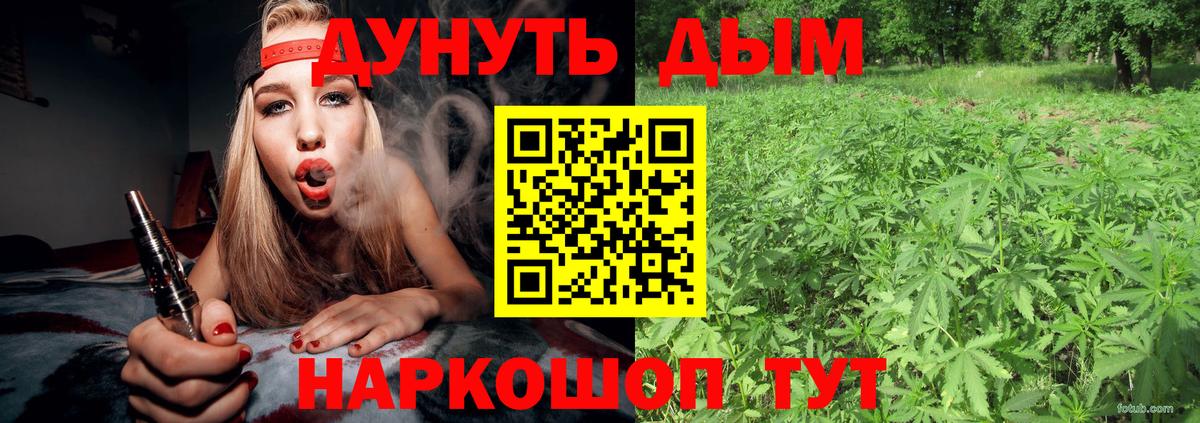 Шишки марихуана AK-47  Каннабис план  МАРИХУАНА планчик  Отрадное  Вход с VPN 